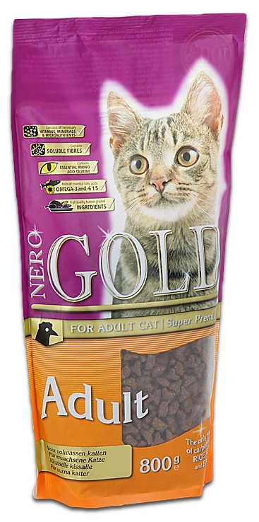 Cat Adult