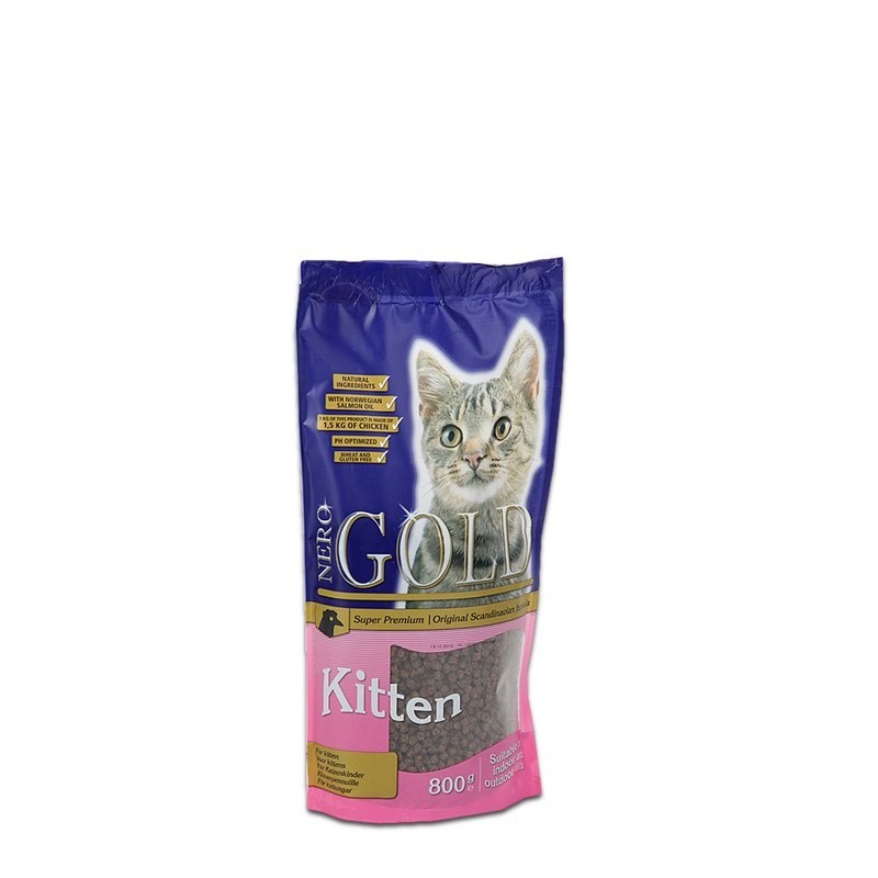 Cat Kitten